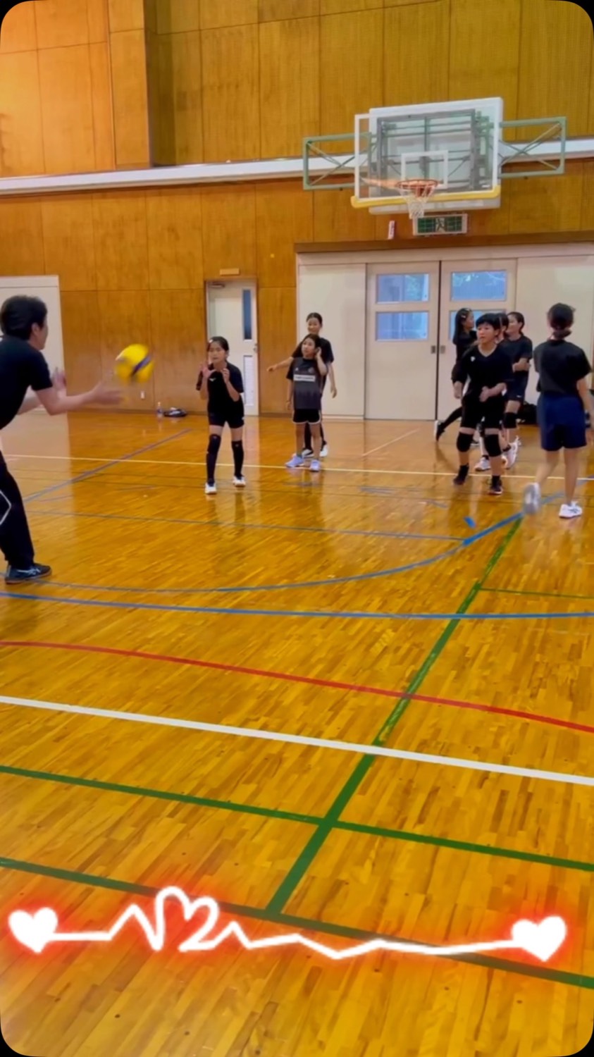 新しいメンバーが増えました